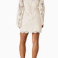 Steve Madden - Selena Lace Mini Dress