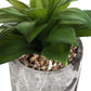 6" Tall Artificial Succulent Plants, Set of 2