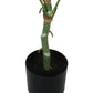 54" Tall Artificial Dieffenbachia Tree Indoor Faux Floor Plant