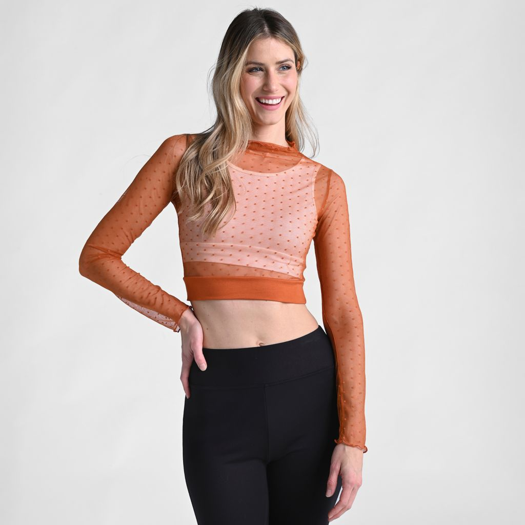 Halftee Small Polka Dot Sheer Mesh Long Sleeve Top