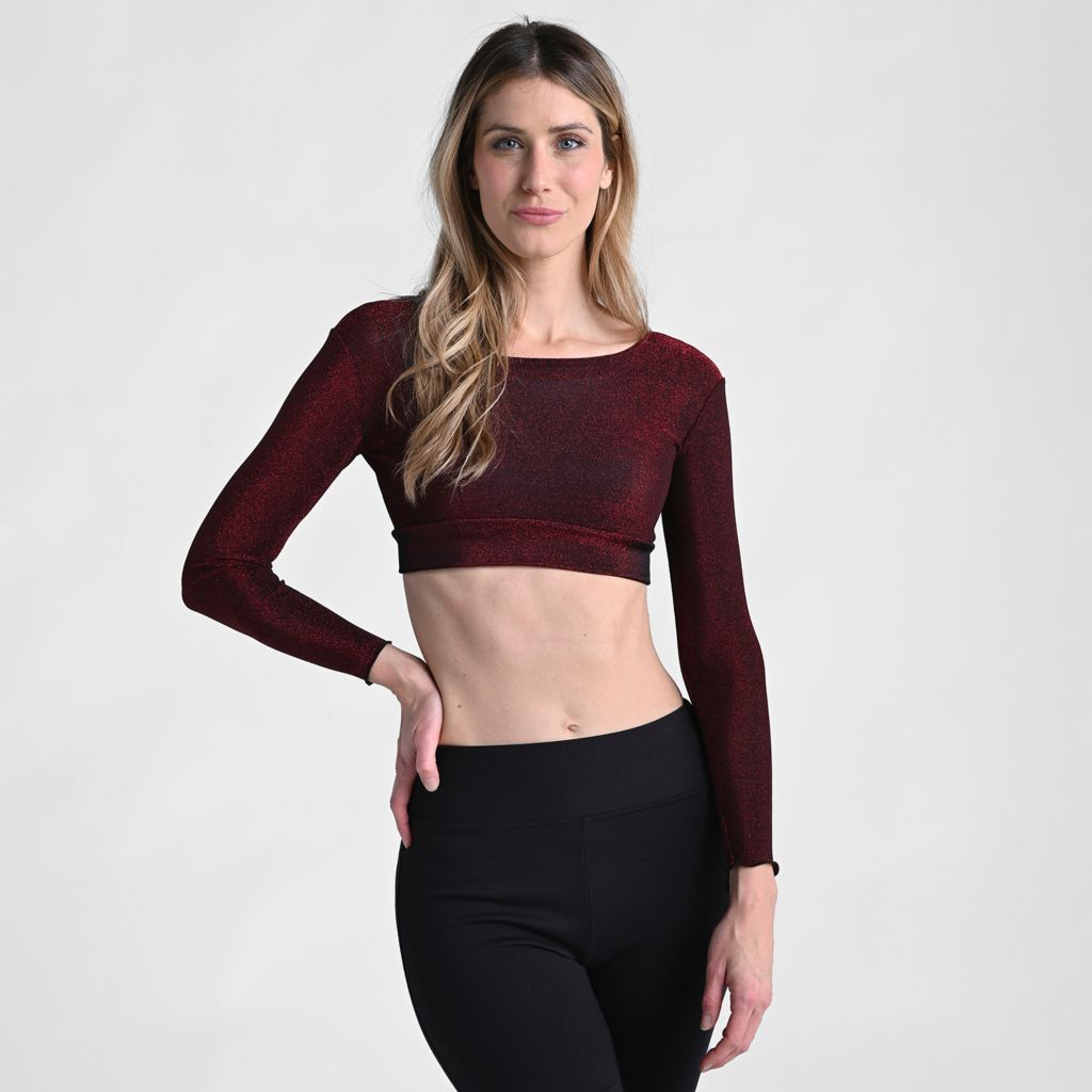 Halftee Metallic Mesh Long Sleeve Scoop Neck Top