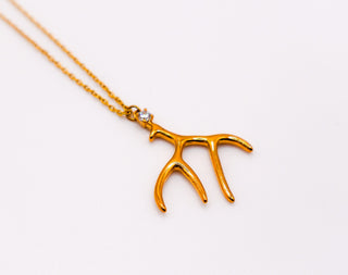 Colar Elegância de Chifre Dourado