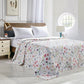 Oversize Microplush Printed Blankets in King & Queen