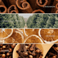 Ho Ho Ho Soy Candle - Red Matte Jar - 15 oz (Christmas)