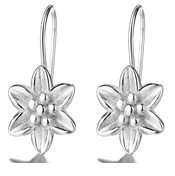 Brincos Lilly Hook de Prata Esterlina