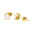 White Opal/Yellow Gold