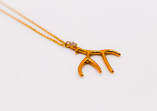 Colar Elegância de Chifre Dourado