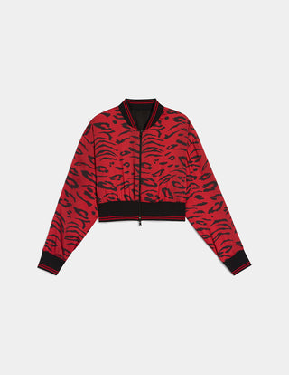 Red Cheetah