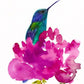 Hummingbird in a Peony Art Print Vibrant Floral and Bird Wall Décor