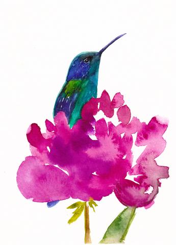 Hummingbird in a Peony Art Print Vibrant Floral and Bird Wall Décor