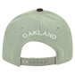Oakland California Galactic Sublimated Galaxy Flat Bill Snapback Grey Hat Cap