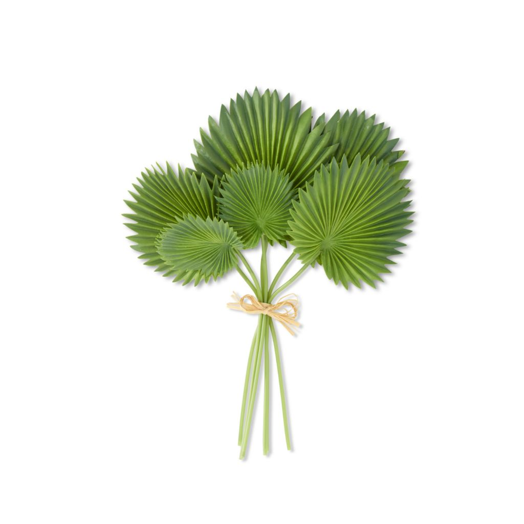 At Home w/ Jorge Parez 16" Real Touch Fan Palm Leaf Bundle (6 Stems)