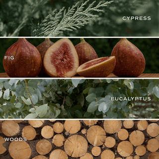 Enchanted Forest Soy Candle - Green Matte Jar - 15 oz (Let it Snow)