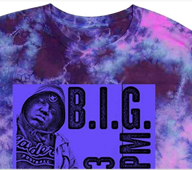 Camiseta gráfica de manga comprida Merch Traffic BIG Palladium masculina, roxa, tamanho pequeno
