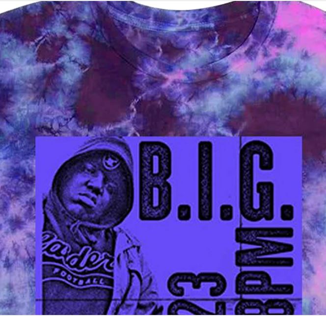 Camiseta gráfica de manga comprida Merch Traffic BIG Palladium masculina, roxa, tamanho GG