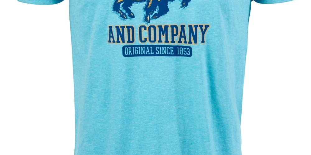 Camiseta Levi's Masculina Buffalo Graphic Azul Tamanho Médio