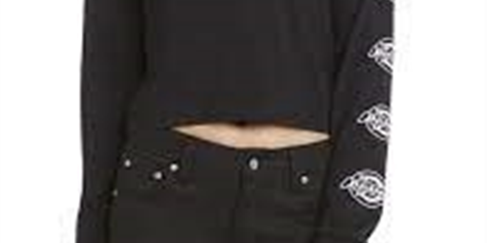 Camiseta Dickies Feminina Manga Longa Algodão com Detalhe de Logotipo Preto Tamanho XS