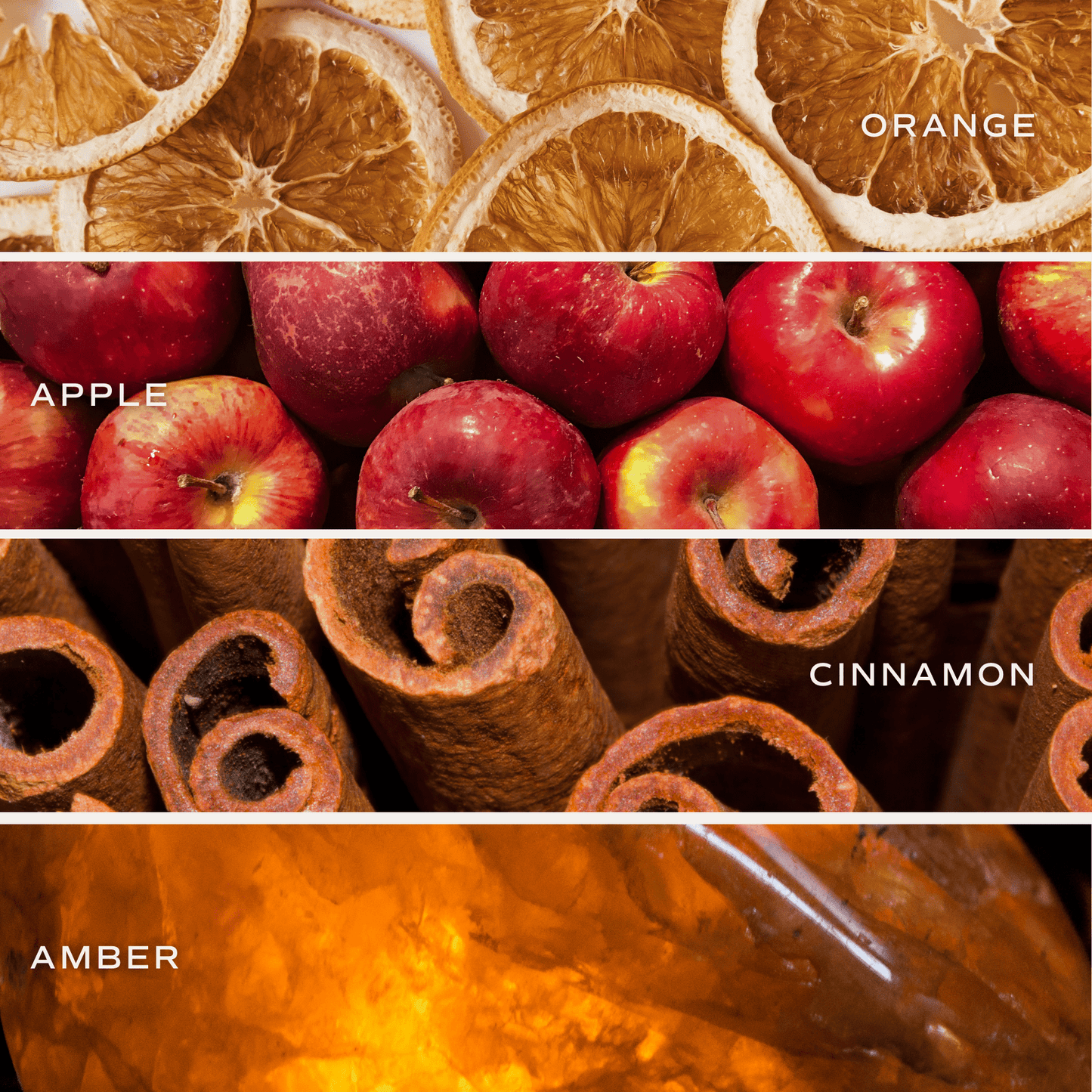 Mulled Cider Soy Candle - White Jar - 11 oz