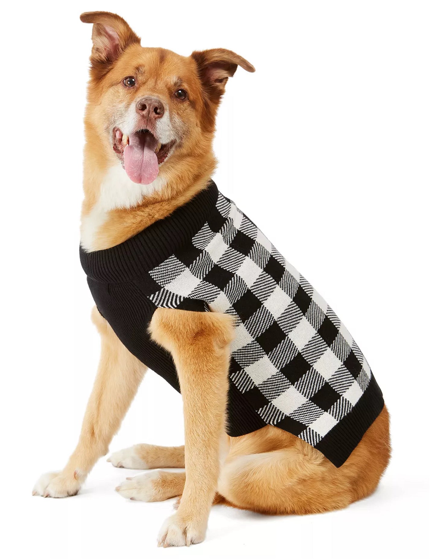 Suéter feminino com estampa xadrez e estampa de cachorro Charter Club, tamanho pequeno, branco