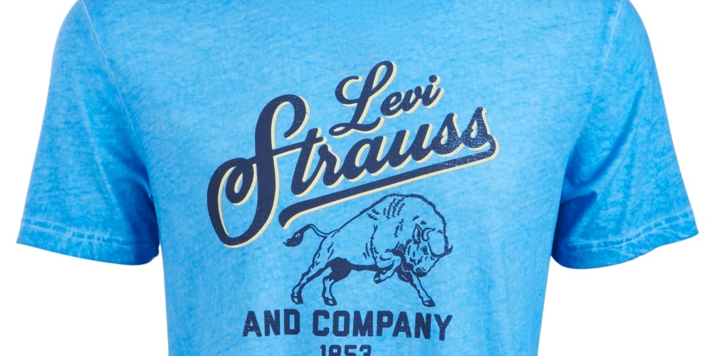 Camiseta Levi's Team Bison Graphic Masculina Azul Tamanho X-G