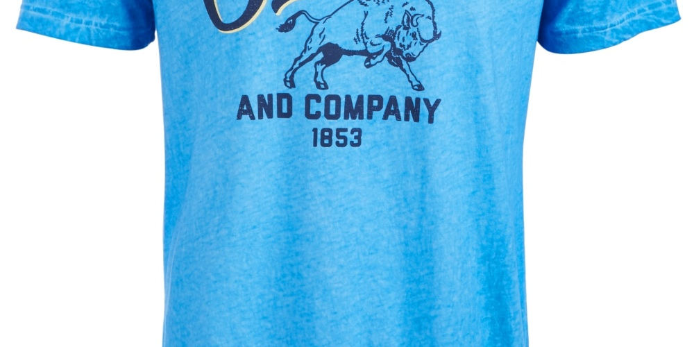 Camiseta Levi's Team Bison Graphic Masculina Azul Tamanho X-G