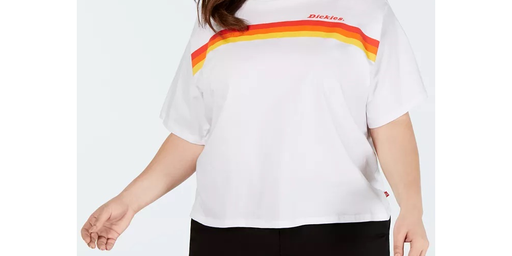 Camiseta feminina Dickies Trendy Plus Size com estampa de listras e logotipo, branca, tamanho XX-G