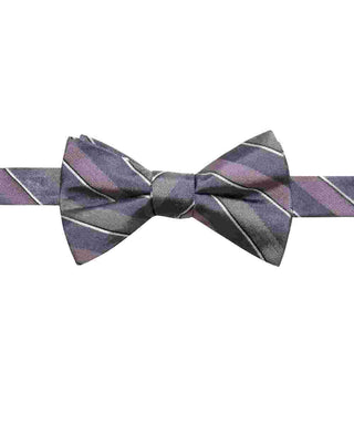 Gravata borboleta pré-amarrada masculina Ryan Seacrest Distinction Matera Stripe cinza/roxa tamanho único