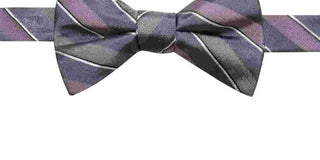Gravata borboleta pré-amarrada masculina Ryan Seacrest Distinction Matera Stripe cinza/roxa tamanho único