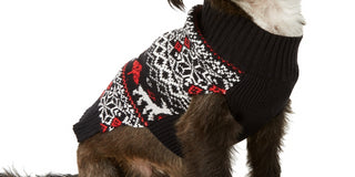 Suéter feminino Charter Club Fair Isle Dog Family, preto, tamanho pequeno