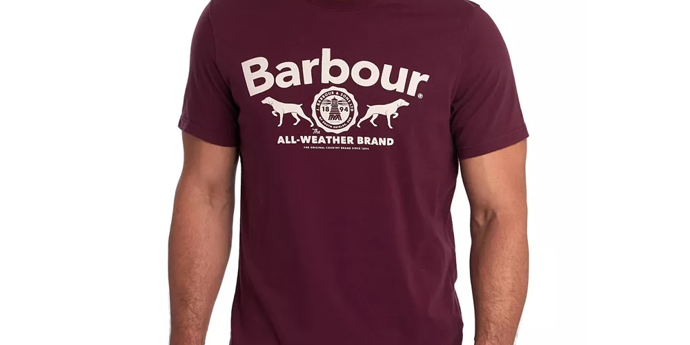 Camiseta masculina Barbour Max Logo Graphic vermelha, tamanho médio