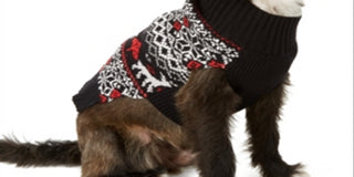 Suéter feminino Charter Club Fair Isle Dog Family, preto, tamanho XX-G