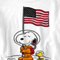Camiseta infantil masculina Snoopy in Space Peanuts, tamanho 3, branca