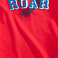 Camiseta infantil infantil Epic Threads Roar Tufted Chenille, tamanho 3, vermelha