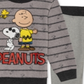 Conjunto de moletom e calça jogger Peanuts Little Boy, 2 peças, cinza, tamanho 7