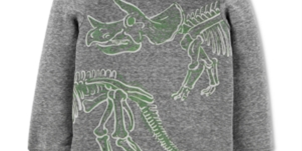 Camiseta Carter's Infantil para Menino com Capuz e Estampa de Dinossauro e Neve, Cinza, Tamanho 2T