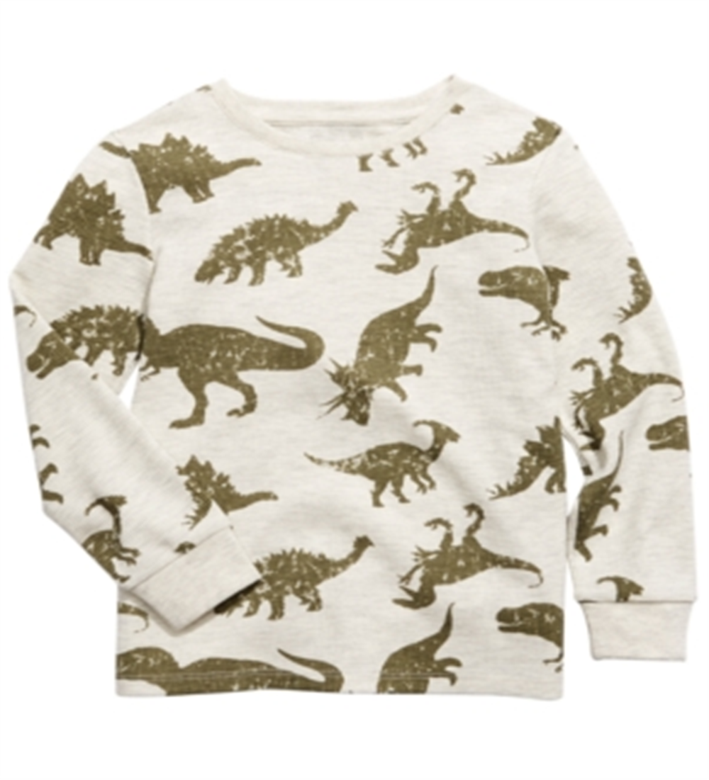 Camiseta térmica infantil Epic Threads Dino para meninos, marrom, tamanho 5