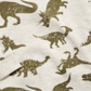 Camiseta térmica infantil Epic Threads Dino para meninos, marrom, tamanho 5