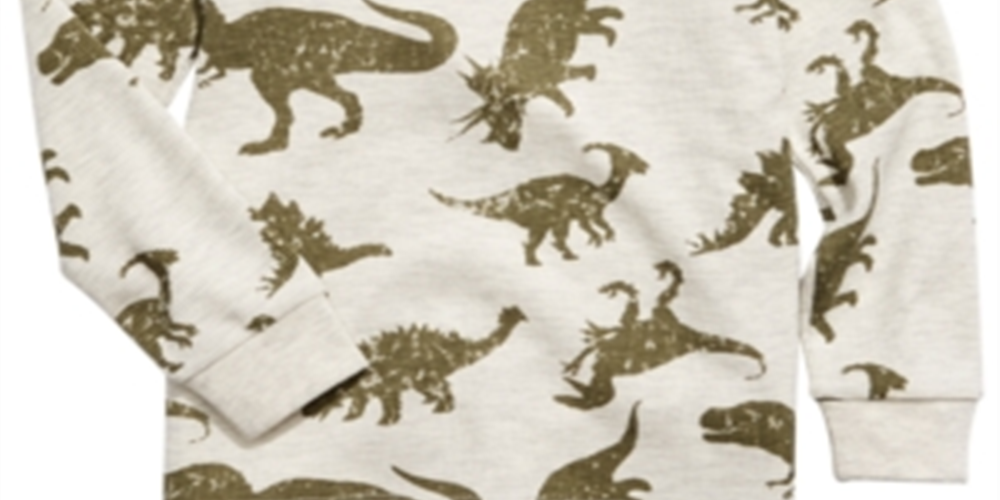 Camiseta térmica infantil Epic Threads Dino para meninos, marrom, tamanho 5