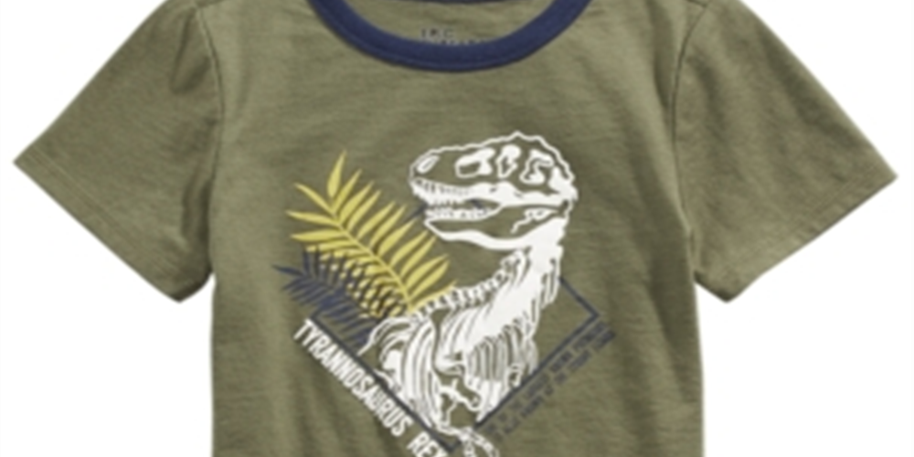 Camiseta infantil masculina com estampa de dinossauro da Epic Threads, verde, tamanho 2