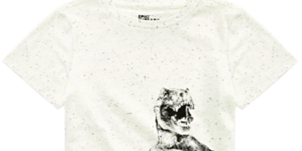 Camiseta infantil masculina Big Dino da Epic Threads, tamanho 2, Stone