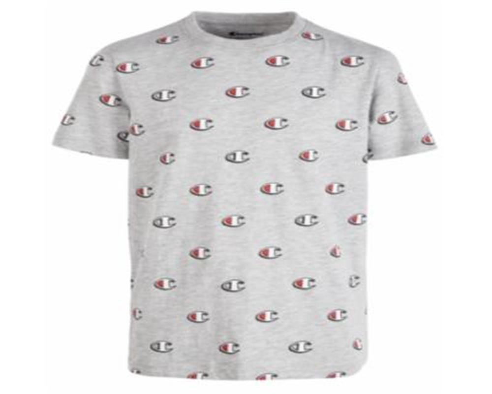 Camiseta estampada Champion Little Boy's cinza tamanho 4