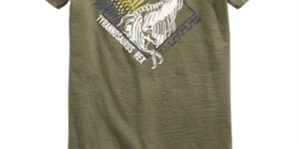 Camiseta estampada de dinossauro para meninos Epic Threads, verde, tamanho 5