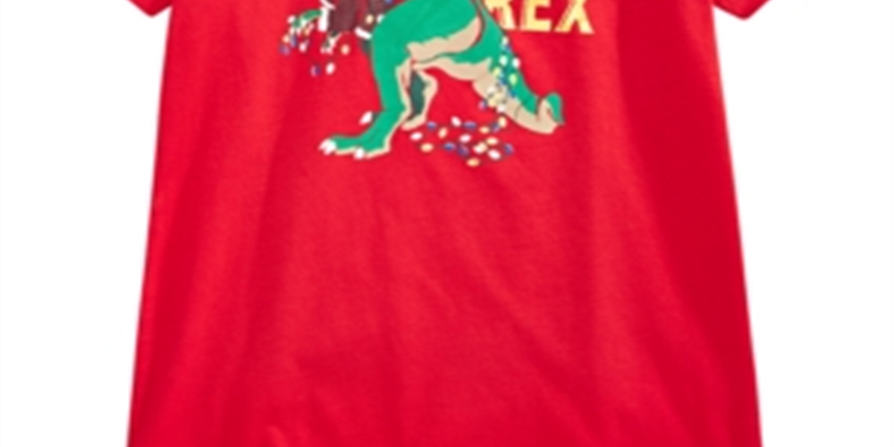 Camiseta estampada de Papai Noel Saurus para meninos da Epic Threads, vermelha, tamanho 7
