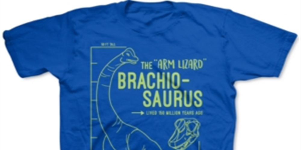 Camiseta infantil Jem Toddler Boy's the Arm Lizard Azul Tamanho 4