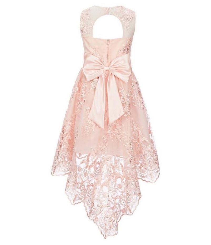 Vestido ilusão de renda para meninas grandes, edições raras, rosa, tamanho 10