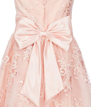 Vestido ilusão de renda para meninas grandes, edições raras, rosa, tamanho 10