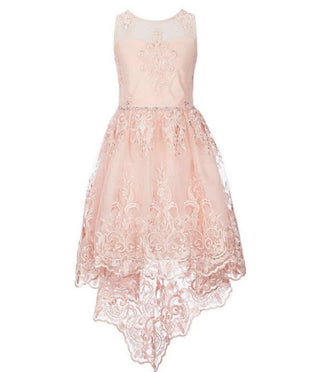 Vestido ilusão de renda para meninas grandes, edições raras, rosa, tamanho 16