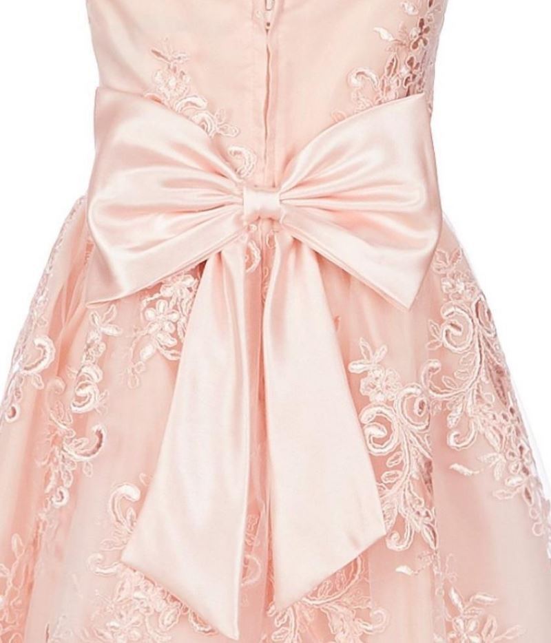 Vestido ilusão de renda para meninas grandes, edições raras, rosa, tamanho 16