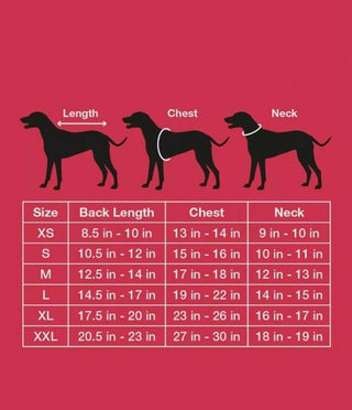 Charter Club Feminino Xadrez Dog Family Família Suéter Vermelho Tamanho X-G