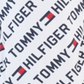 Tommy Hilfiger Big Boy's Jayden Fleece Hoodie com logotipo, branco, tamanho P